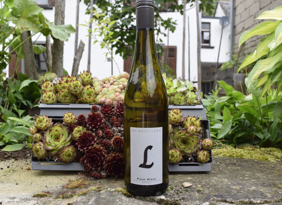Weingut Löhr 2023 Mosel Pinot Blanc feinherb